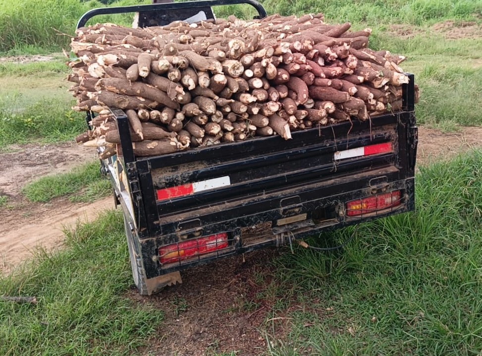 WhatsApp Image 2025-08-05 at 1.39.43 PM01